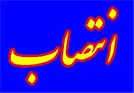 بهزاد محمدی در هیئت مدیره شرکت ملی صنایع پتروشیمی
