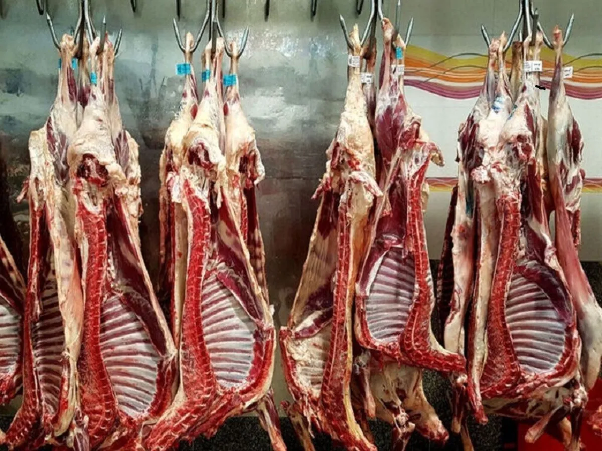 واردکنندگان گوشت قرمز محدودیت ندارند