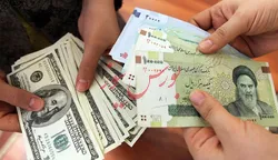 روغن و آرد با ارز ۴۲۰۰ تومانی، سراب تولیدکنندگان