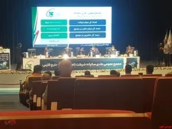 سهامداران 