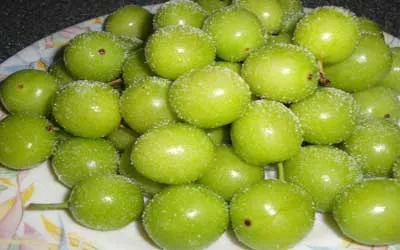 ادامه کاهش قیمت میوه‌های نوبرانه