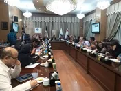 هزینه کرد ارز حاصل از صادرات برای واردات مواداولیه/ تامین خوراک از سهامدار عمده
