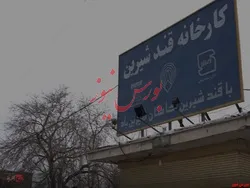 قطار سرمایه در مجمع 