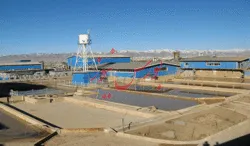 مجمع 