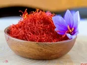 بیش از ۲۶۵هزار تن انواع کالا معامله شد/عرضه ۵۰ کیلو زعفران در بورس کالا