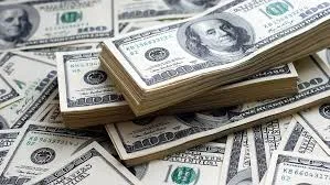 واردات کالا با ارز 4200 و فروش آن به نرخ آزاد