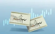 ساماندهی شرکت‌های سرمایه گذاری