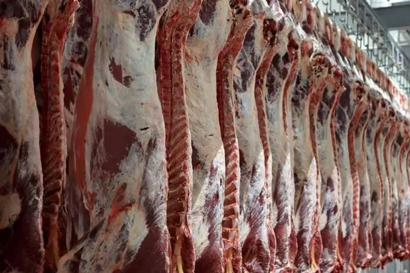 واردات گوشت‌های احتکاری در تهران با ارز دولتی
