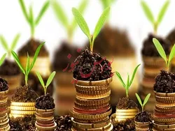 کسب بازدهی سالانه  ۹۷درصدی صندوق 