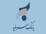بانک سرمایه بر خلاف نام خود در سالیان گذشته سرمایه خود را از بین برده است