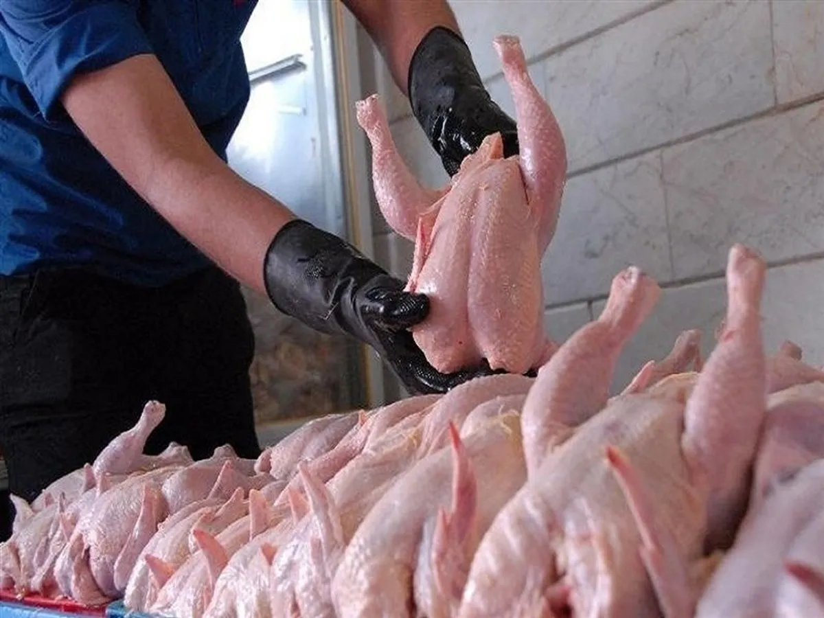 توزیع قطعه بندی گوشت مرغ متوقف می شود