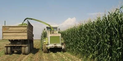 بررسی دلایل توقف نماد 