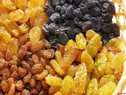 گشایش دومین انبار کشمش در بورس کالا