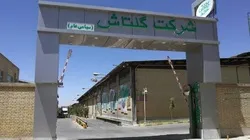 روند صعودی گلتاش به ماه سوم نرسید