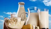 کاهش تعرفه واردات محصولات لبنی به کردستان عراق