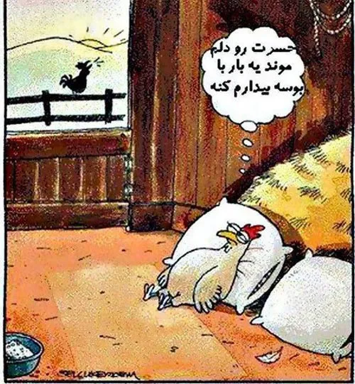 حسرت مرغ (کاریکاتور)
