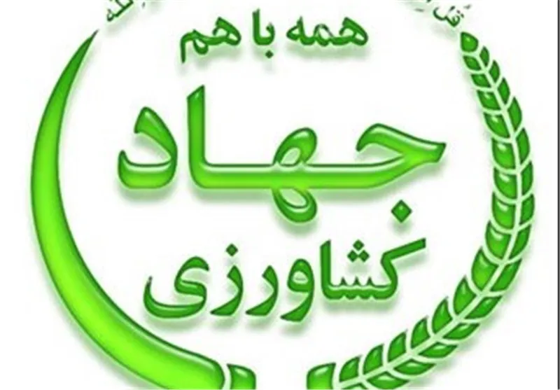 طعم و تجربه شیرین سازندگی/ آیا سازندگی «ساختمانی‌ها» را فعال می‌کند