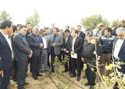 بازدید وزیر جهاد کشاورزی از مزرعه الگویی خارشتر