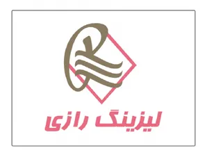 رشد فعالیت خیره کننده لیزینگ رازی در ۵ ماه
