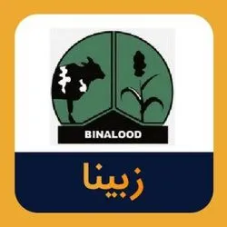 بی میلی محصولات 