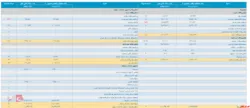 صورت مالی میاندوره ای 