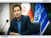 وحید نام نیک سرپرست مدیر عاملی پتروشیمی صدف شد 