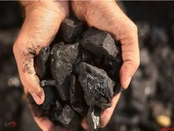 افزایش ۳۱۲ درصدی سودآوری 