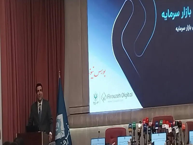 مدیرعامل گروه مالی فیروزه