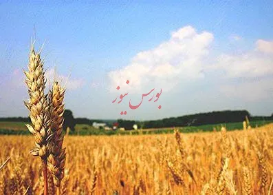 عرضه مستغلات بانک ها از طریق بورس کالا/ارایه تسهیلات کوتاه مدت به بخش کشاورزی