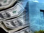 کالاهای اساسی چقدر ارز گرفتند؟