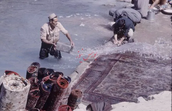 خروج از صنعت نفت و گاز و حضور در صنعت قالی شویی (طنز)