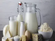 رشد ۳۶ درصدی ارزش صادرات لبنیات