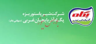 چشم‌انداز مثبت سال ۹۸/ بازار فروش گسترده داخلی، نقطه قوت صنعت لبنی