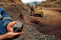 مشارکت با خارجی ها تنها یک شعار است/ همچنان با نرخ های گذشته گندله می فروشیم