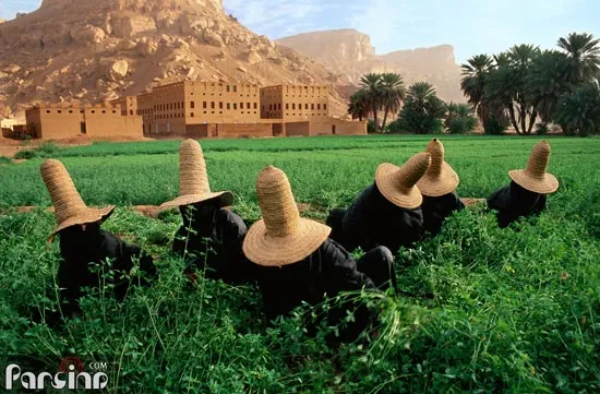 پوشش و کار زنان در مزرعه/عکس