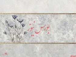 پذیرش  عرضه گلوله آلومینایی 