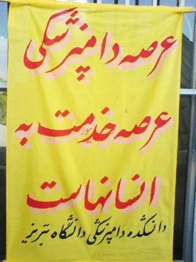 سوژه وطنی ( عکس )