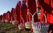 ارتباط با خریداران خارجی زعفران از کانال بورس کالا ضروری است