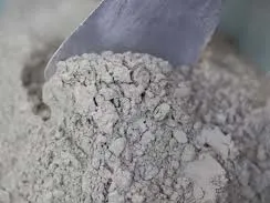 فروش 93 میلیارد ریالی «سشمال» در دی ماه
