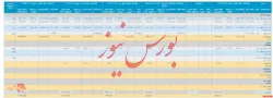 گزارش فعالیت 
