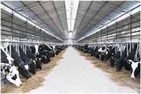 حذف ارز دولتی واردات گوشت/  عرضه گوشت زیر ۹۰ هزار تومان توجیه اقتصادی ندارد