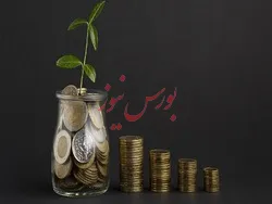 سرمایه گذاری 