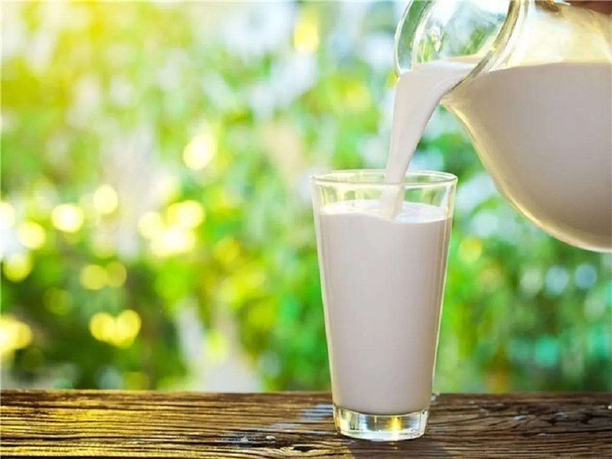 قیمت جدید شیرخام اجرا می شود
