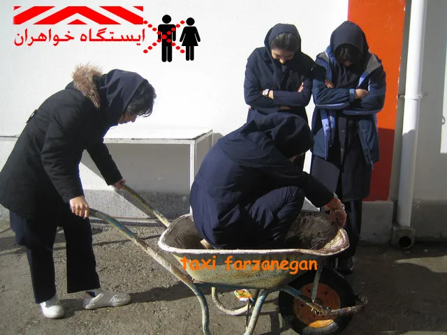 ارتباط جنسی در ایران / 