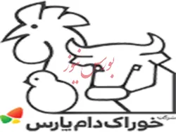 سیر نزولی ۵۰ درصدی فروش 