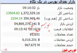شاخص در دقایق ابتدایی رشد ۱۳ هزارواحدی دارد