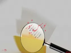 طرح شفافیت قوای سه‌گانه در دستور کار مجلس
