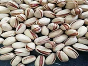 افتتاح انبار پسته بادامی یک شرکت در بورس کالا