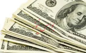 نظارت بر ارز 4200 تومانی مانع از رانت خواری می شود