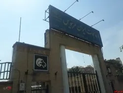 مجمع 